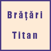 Brățări titan